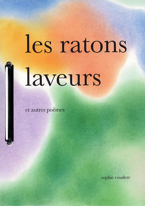 Read more about the article Ratons laveurs